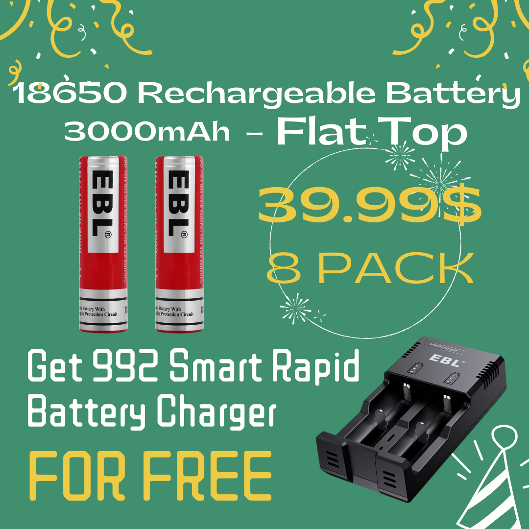 Chargeur Batteries 2*18650 3.7V