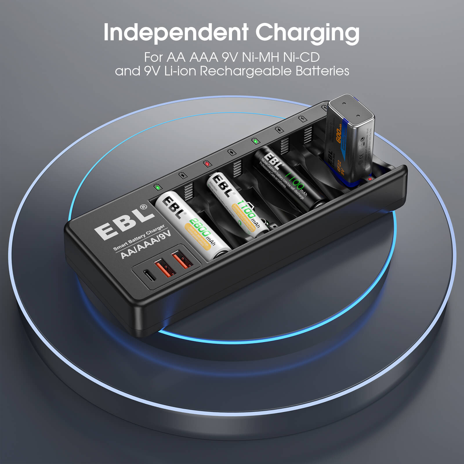 EBL AA AAA 9V Individual Battery Charger