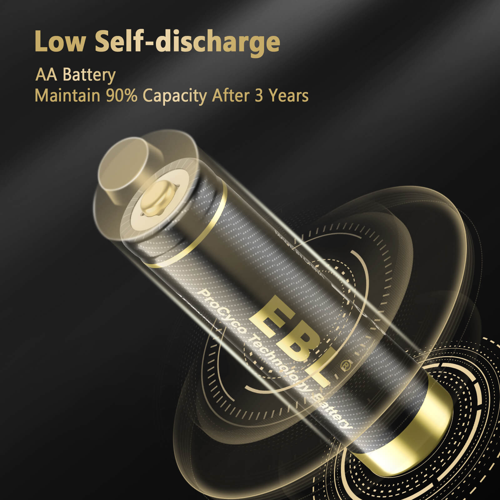 EBL Gold Pro Rechargeable AA  Batteries 2800mAh