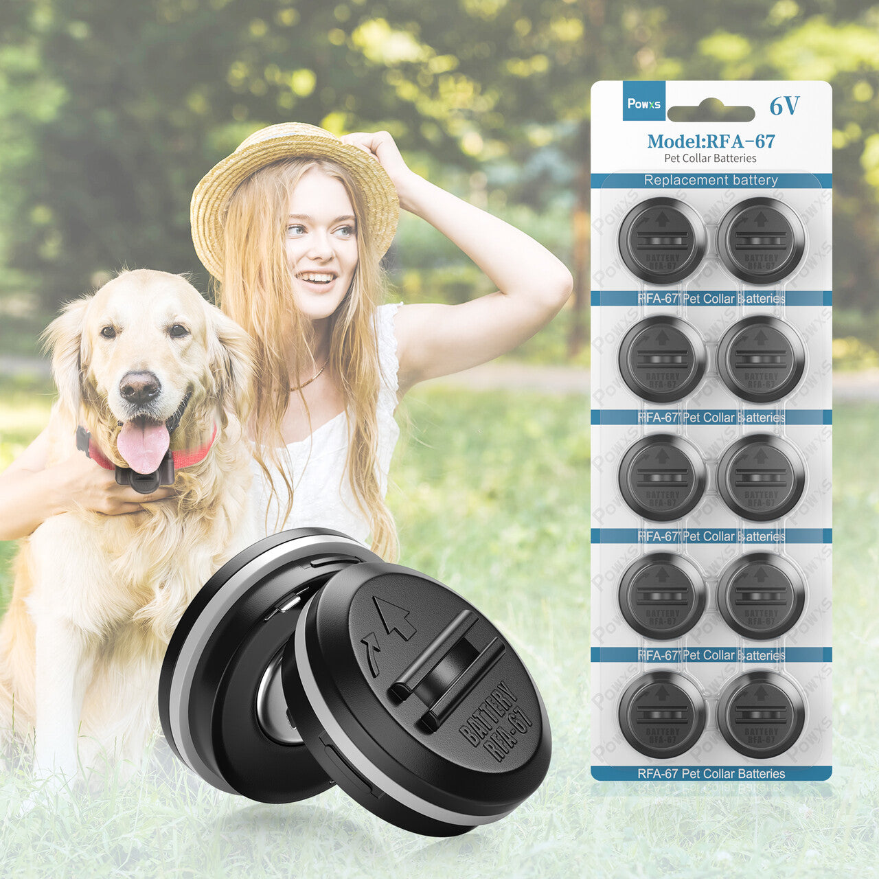 6 volt battery for dog collar hotsell